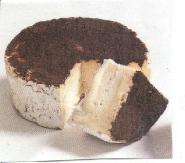 FORMAGGIO A PASTA MOLLE, LATTE CRUDO, POLVERE DI PERE ESSICCATE