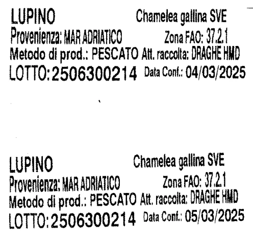LUPINI (CHAMELEA GALLINA)