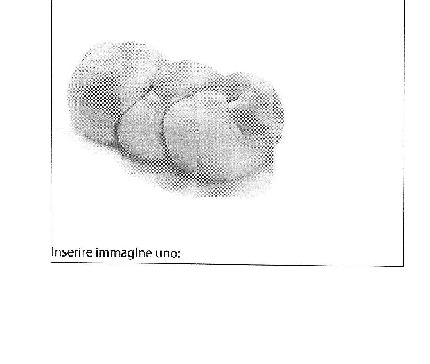 MOZZARELLA DI BUFALA CAMPANA DOP - TRECCIA 2 KG - 3 KG