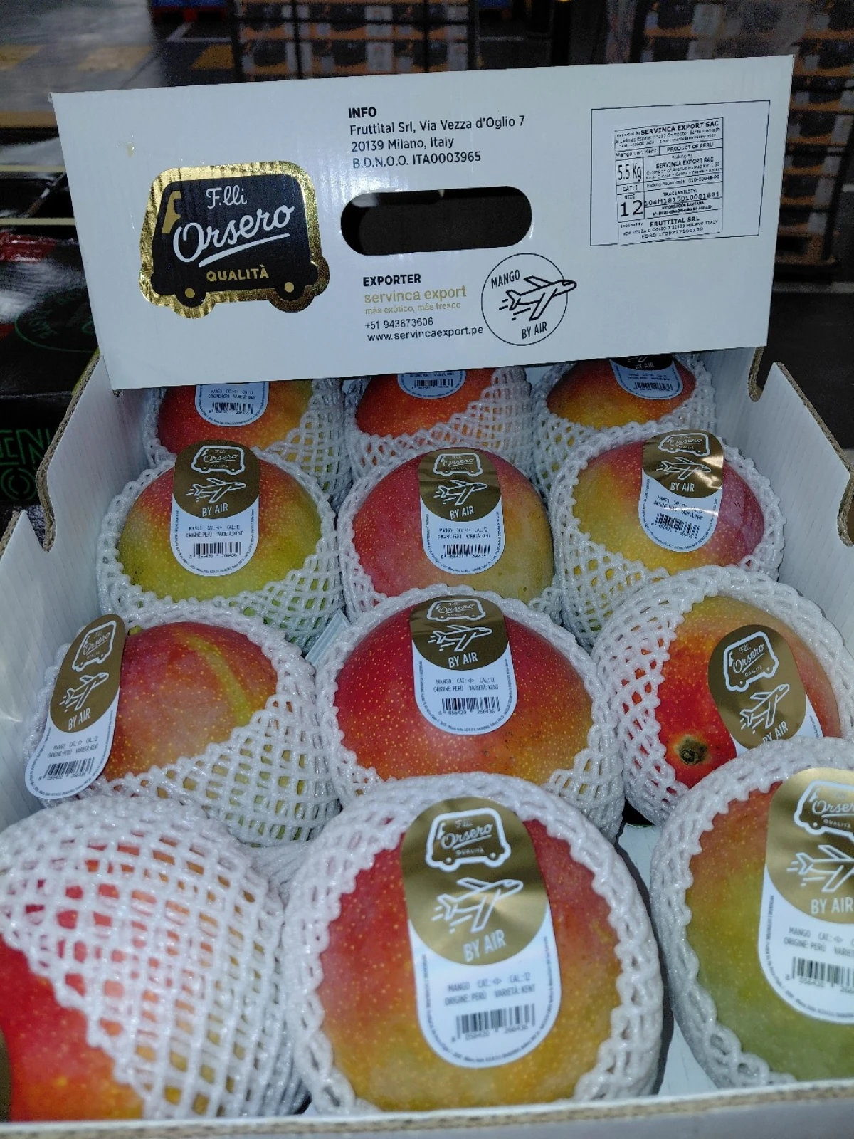 Mango varietà Kent origine Perù