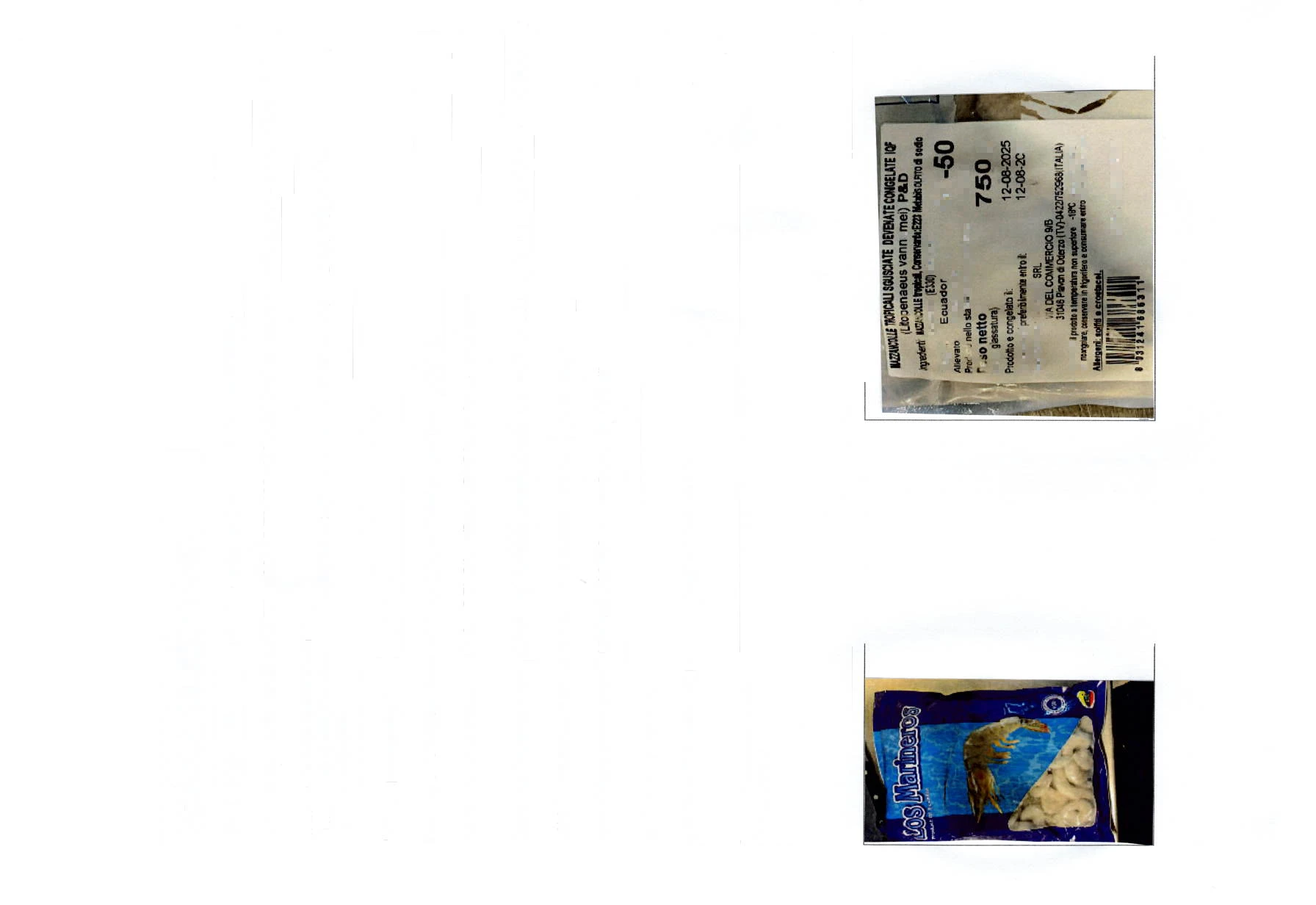 MAZZANCOLLE TROPICALI SGUSCIATE DEVEN. CONGELATE-36/40-41/50-51/60