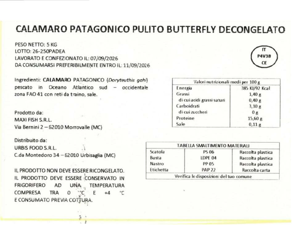 Calamaro patagonico pulito butterfly decongelato