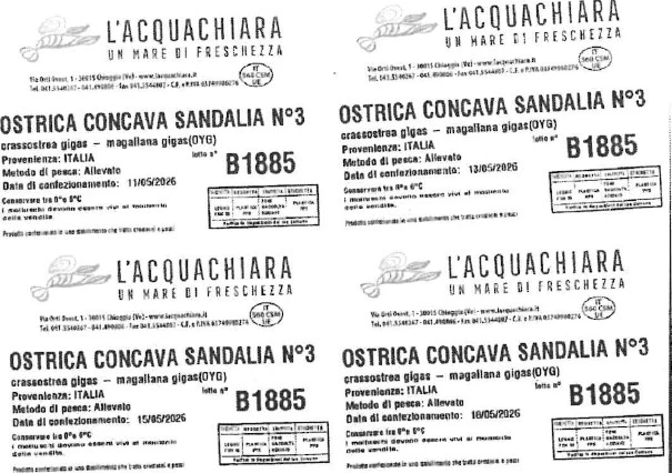 Ostriche concave sardegna
