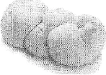 Mozzarella di bufala campana DOP - treccia 1 kg