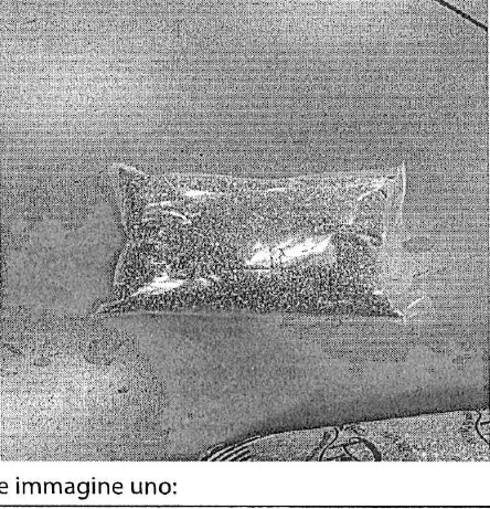 Semi di chia nera origine india