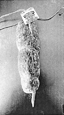 Foto Salame di magliano Monte Argegna Salumi richiamato
