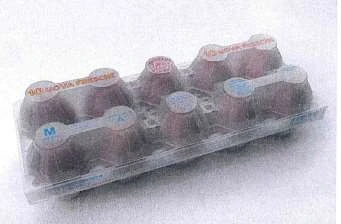10 uova fresche medie