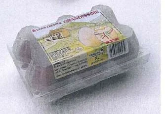 6 uova fresche grandissime