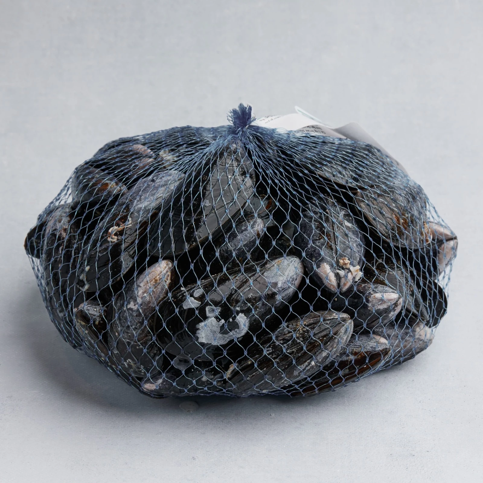 MITILI O COZZE Mytilus Galloprovincialis