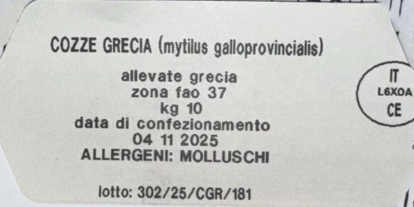 Foto MITILI O COZZE Mytilus Galloprovincialis Britalia Società Cooperativa richiamato