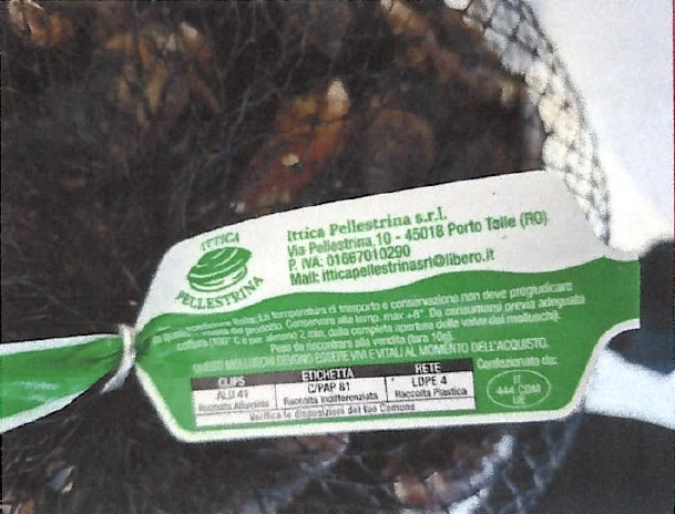 Foto MITILI O COZZE (MSN) Mytilus galloprovincialis Ittica Pellestrina richiamato