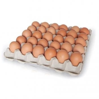 Uova fresche / uova fresche tuorlo rosso