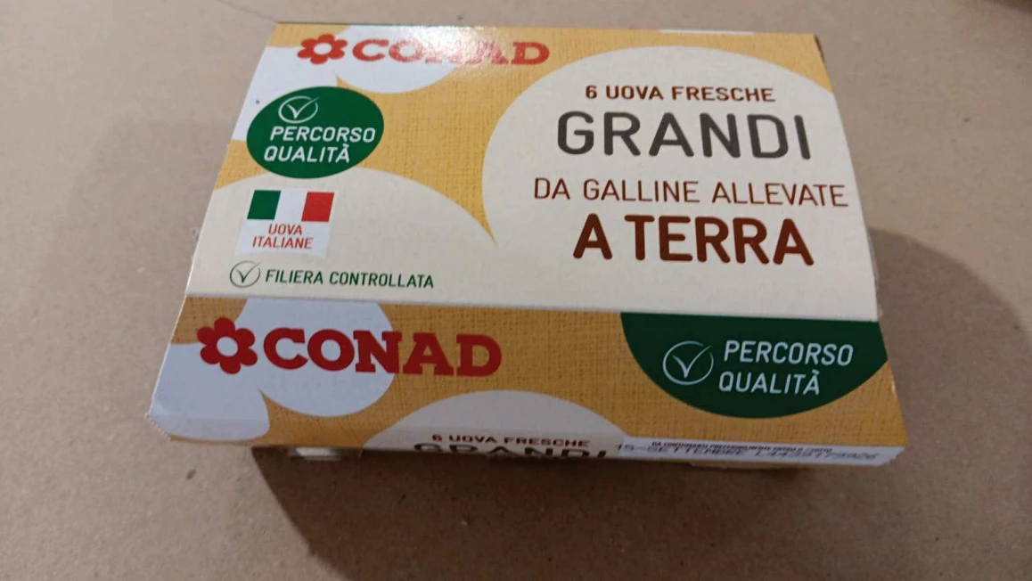 Uova fresche Cat. A, da allevamento a terra, L, PQC Conad