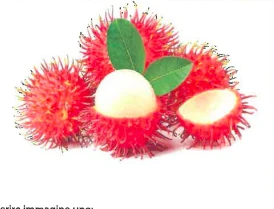 RAMBUTAN THAILANDIA