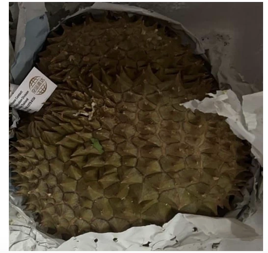 Durian