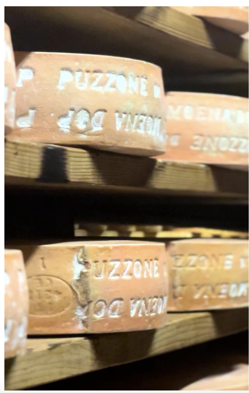 PUZZONE DI MOENA DI PREDAZZO E MOENA DOP