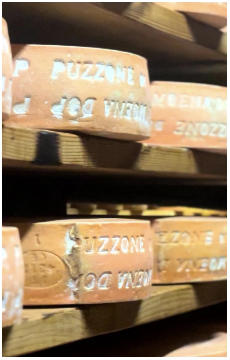 PUZZONE DI MOENA DI PREDAZZO E MOENA DOP