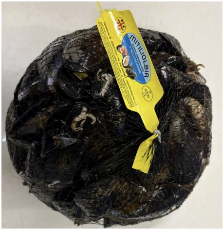 MITILI O COZZE (Mytilus galloprovincialis)