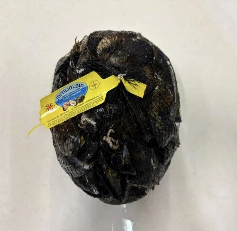 MITILI O COZZE (Mytilus galloprovincialis)